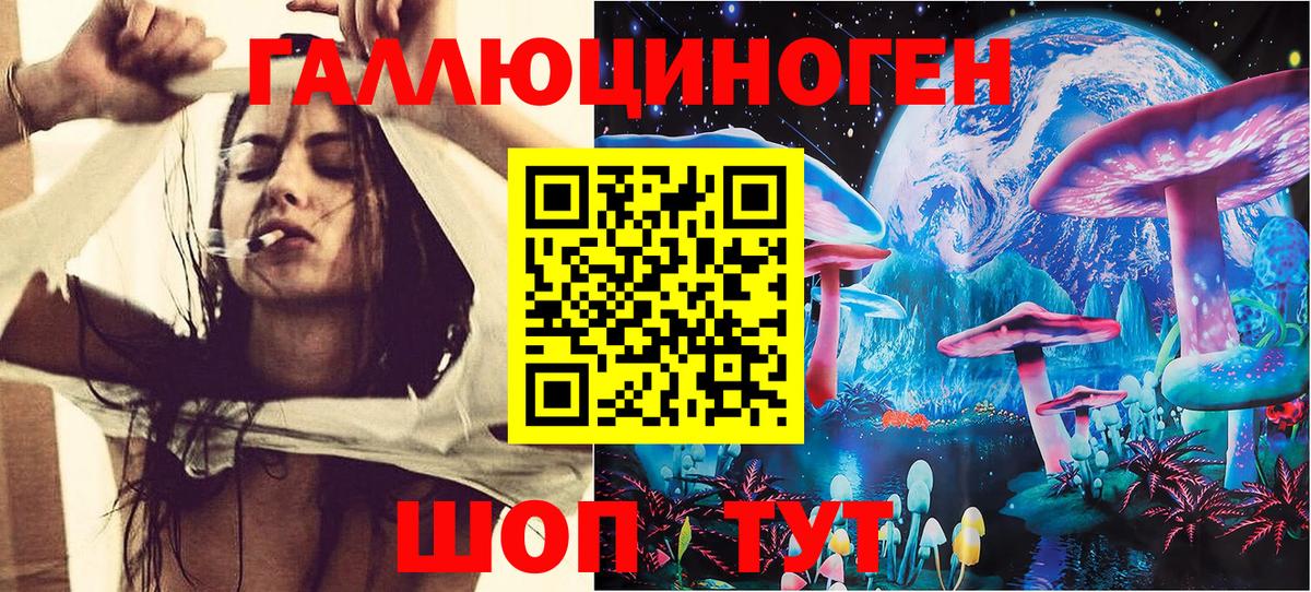 Галлюциногенные грибы Cubensis Губкинский